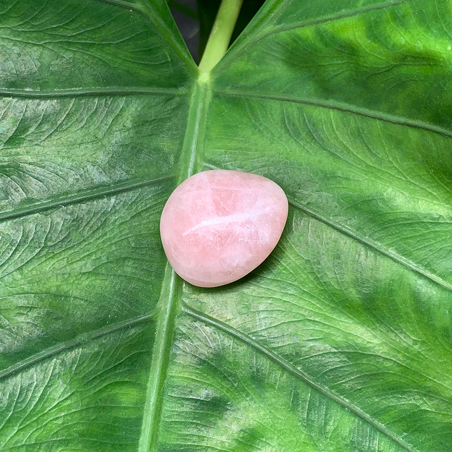 Loving Energy Rose Quartz Stone