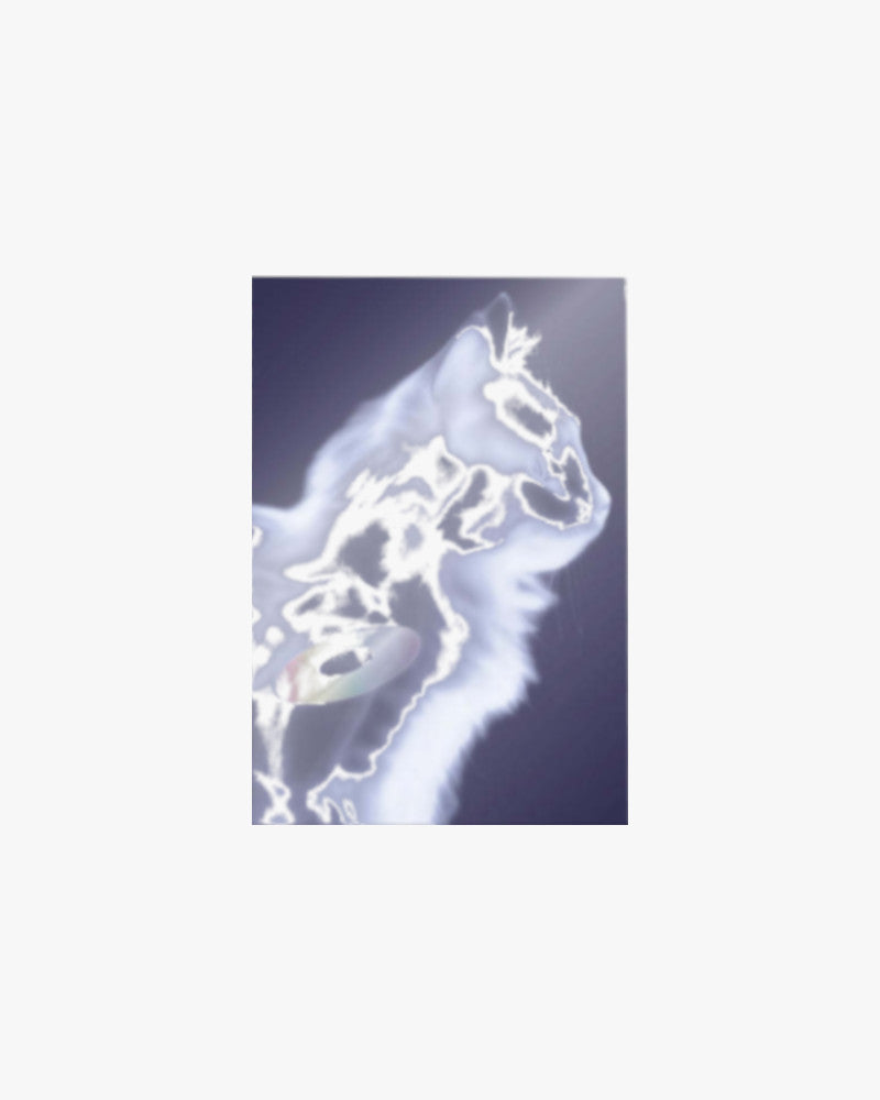 LE SSERAFIM - 4TH MINI ALBUM [CRAZY] (Weverse Ver.) (Random Ver.)