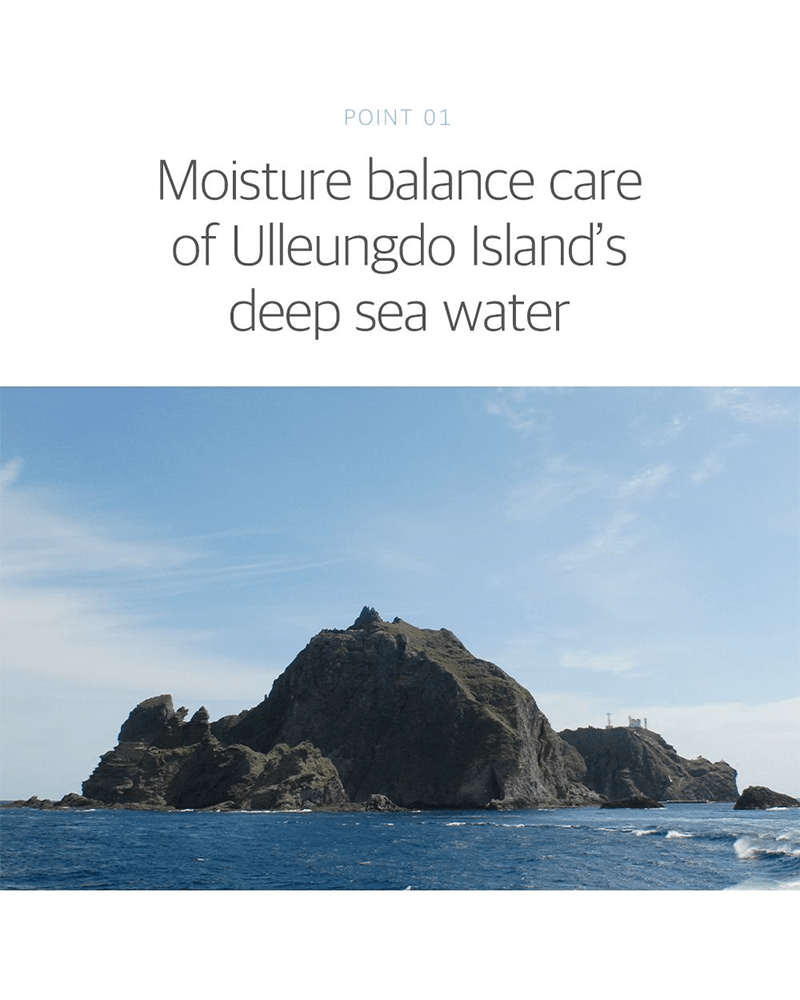 ROUND LAB 1025 Dokdo Peeling Gel